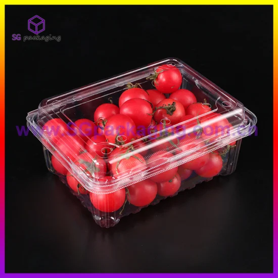Boîte en plastique transparente de fruit d'emballage à clapet jetable d'animal familier de fraise