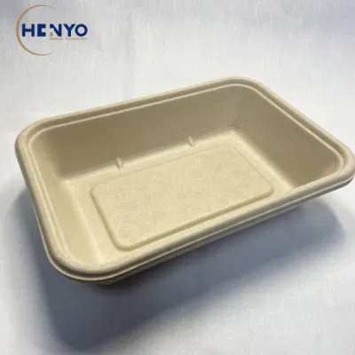 Vaisselle en bagasse biodégradable jetable, boîte à déjeuner carrée de 800ml, boîte à repas avec couvercle pour animaux de compagnie